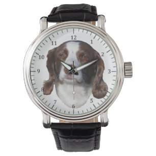 Montre Brown et blanche pour chien