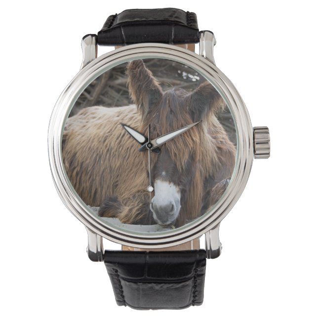 Montre Brown Poitou Donkey (devant)