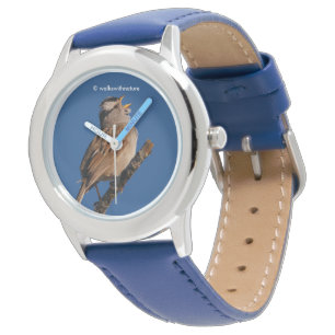 Montre Bruant à tête blanche chante au soleil