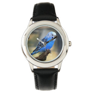 Montre Budgie Bird