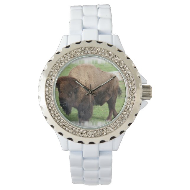 Montre Buffle nord-américain (devant)