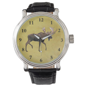 Montre Bull Moose