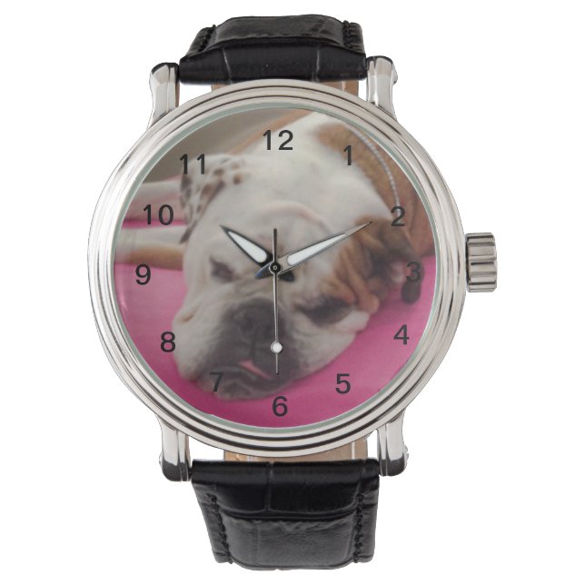 Montre Bulldog anglais (devant)