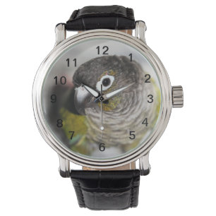 Montre Burbel