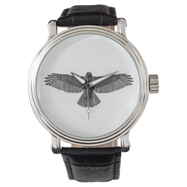 Montre Buse à queue rouge (devant)