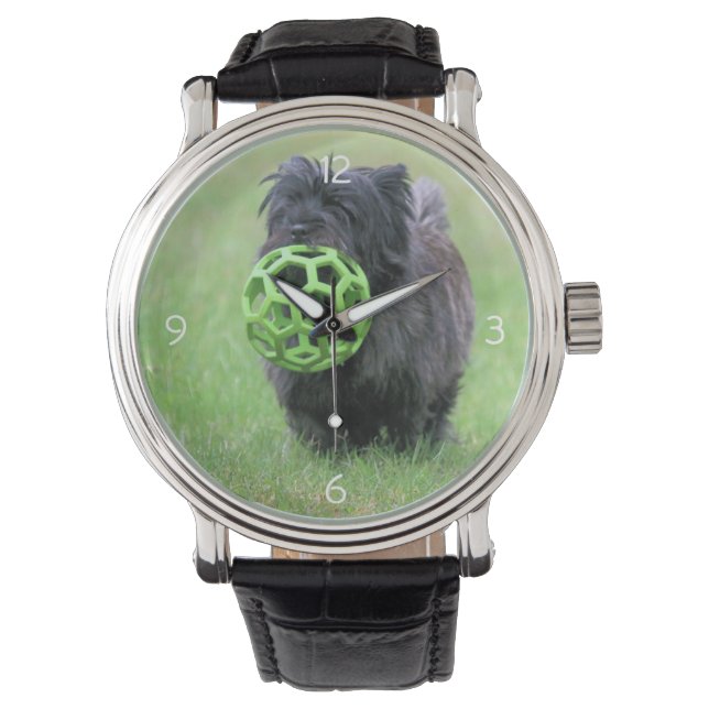 Montre Cairn terrier (devant)