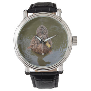 Montre canard femelle de canard faisant face à l'avant