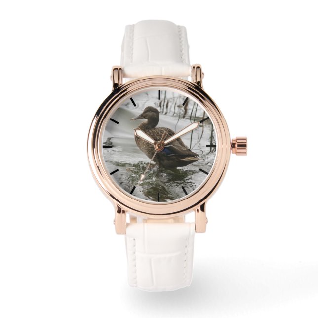 Montre Canard gris sur la nuit du lac (Recto)