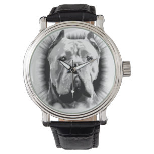 Montre Cane Corso Dog