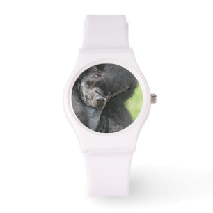 Montre Caniche noir mignon