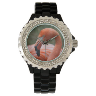 Montre Caoutchouc de phoenicopterus