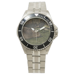 Montre capot 2