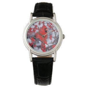 Montre Cardinal du Nord, Hiver, IL