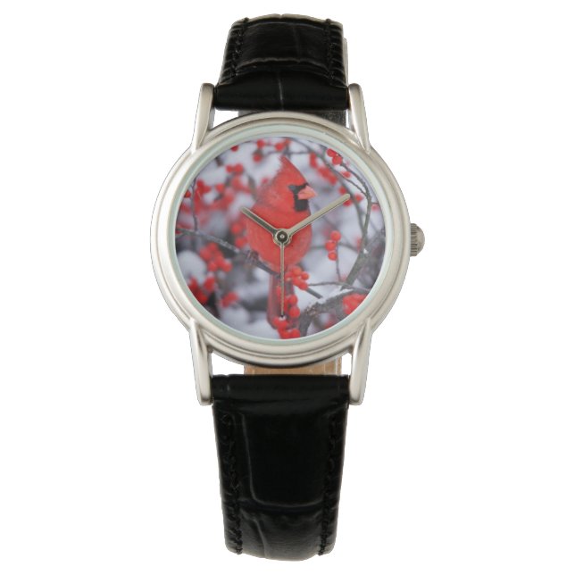 Montre Cardinal du Nord, Hiver, IL (devant)