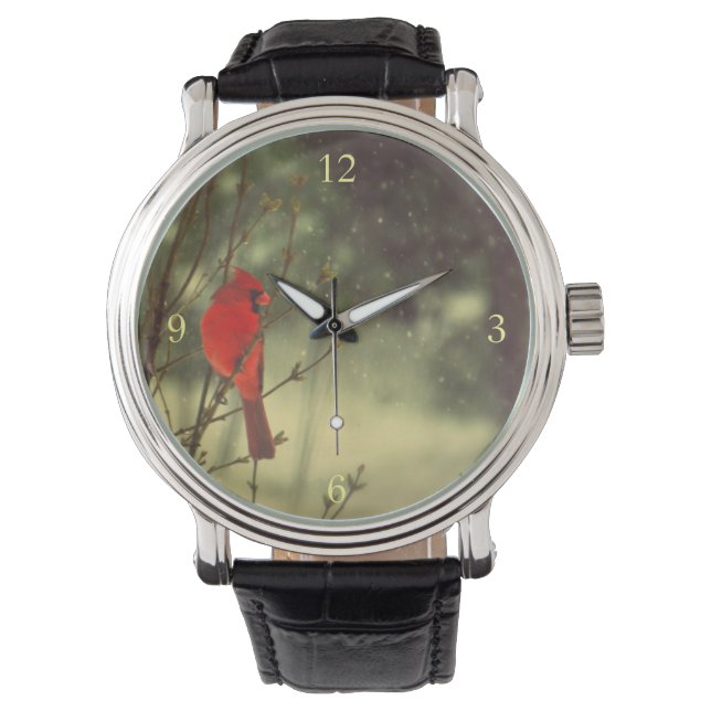 Montre Cardinal masculin (devant)