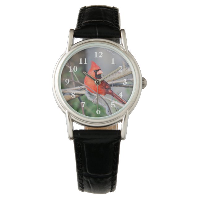Montre Cardinal Pose (devant)