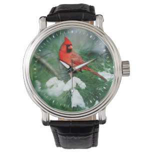 Montre Cardinal rouge mâle sur un arbre, IL