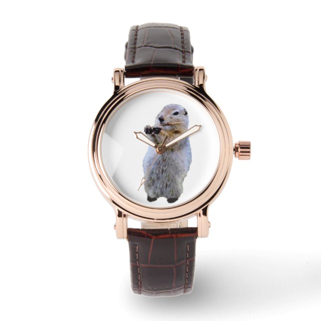 Montre carrée pour femme avec bracelet marron en c (Recto)