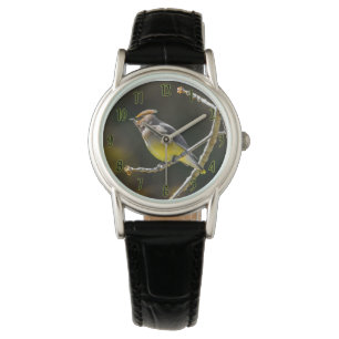 Montre Cèdre cire Songbird Photo originale Oiseau sauvage