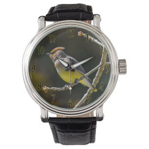 Montre Cèdre cire Songbird Photo originale Oiseau sauvage