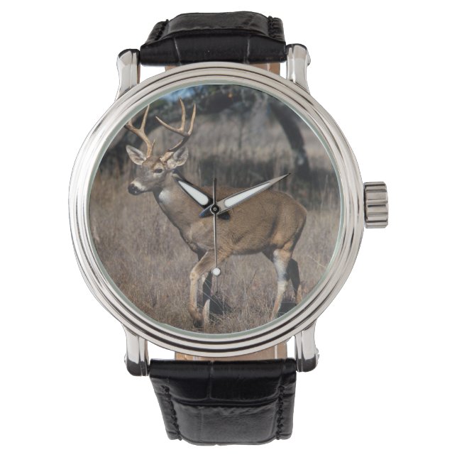 Montre Cerf à queue blanche (devant)