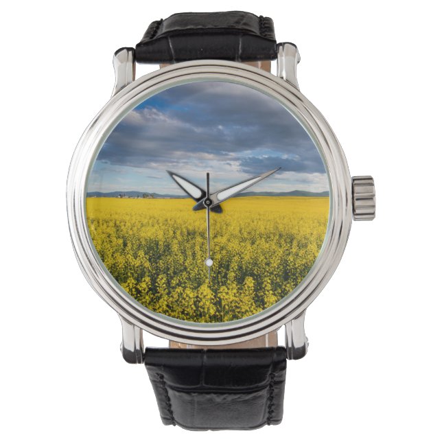 Montre Champ De Canola À La Fin De La Soirée Légère (devant)