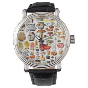 MONTRE CHAMPIONNATS 2