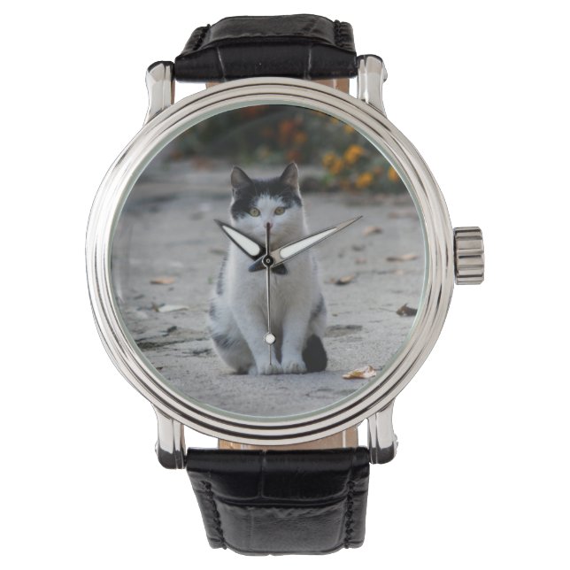 Montre Chat, Blanc, Animaux (devant)