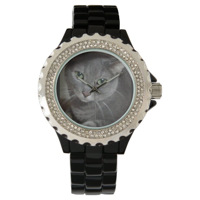 Montre Chat bleu russe (devant)