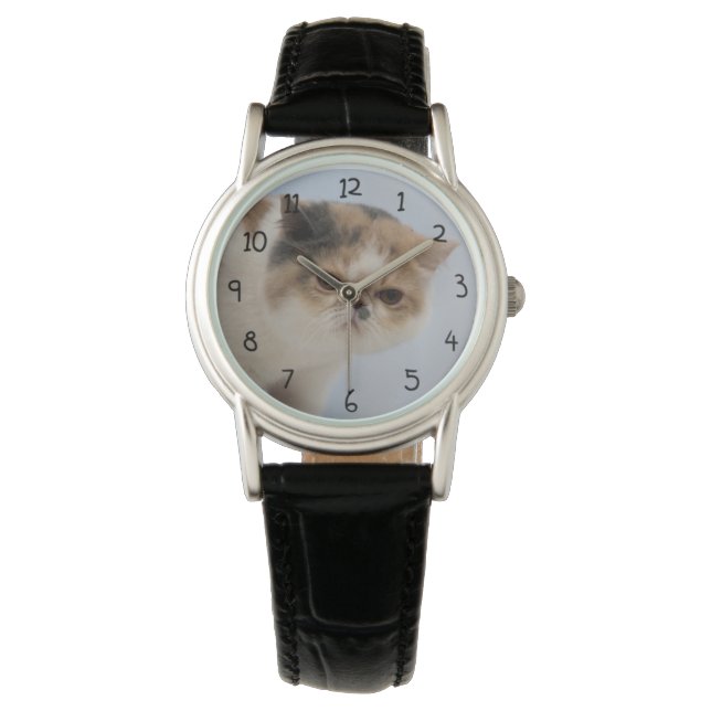 Montre Chat de Grogne (devant)