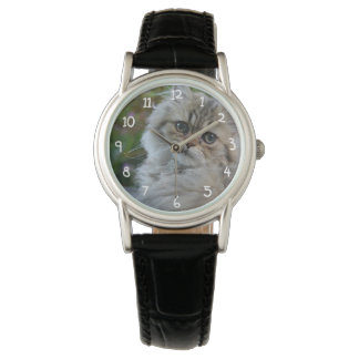 Montre Chat Furry