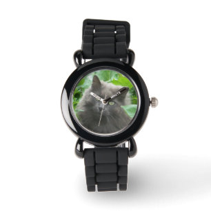 Montre Chat Gris Long Haired