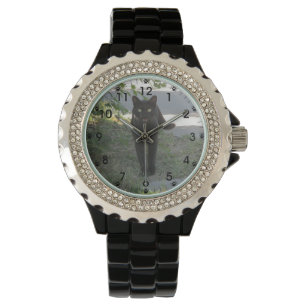 Montre Chat noir dans un jardin