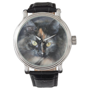 Montre Chat sibérien