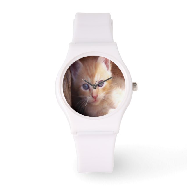Montre Chats (Recto)