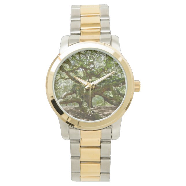 Montre Chêne d'ange puissant (devant)