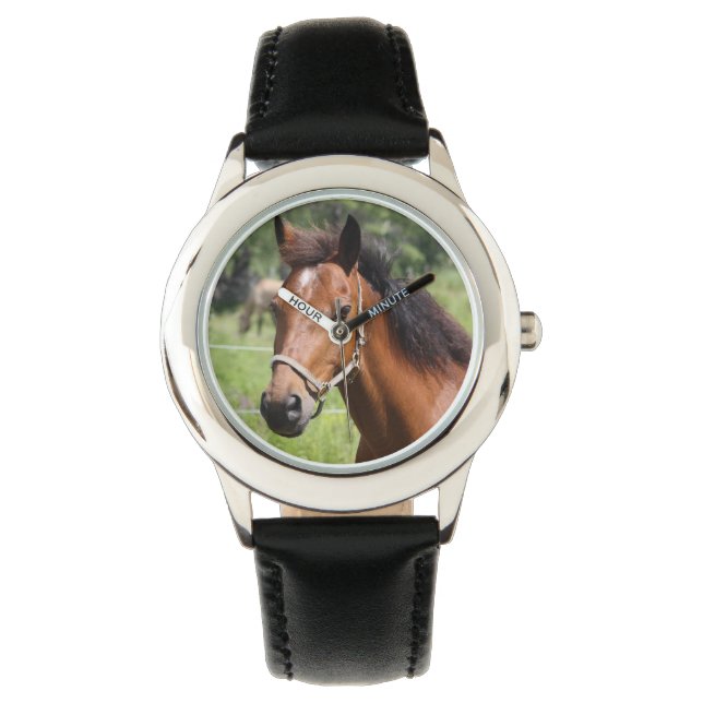 Montre Cheval (devant)