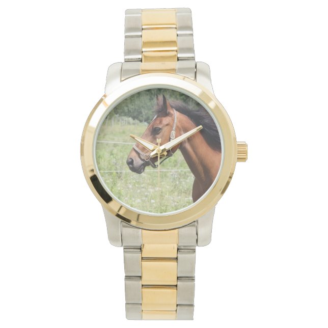 Montre Cheval (devant)