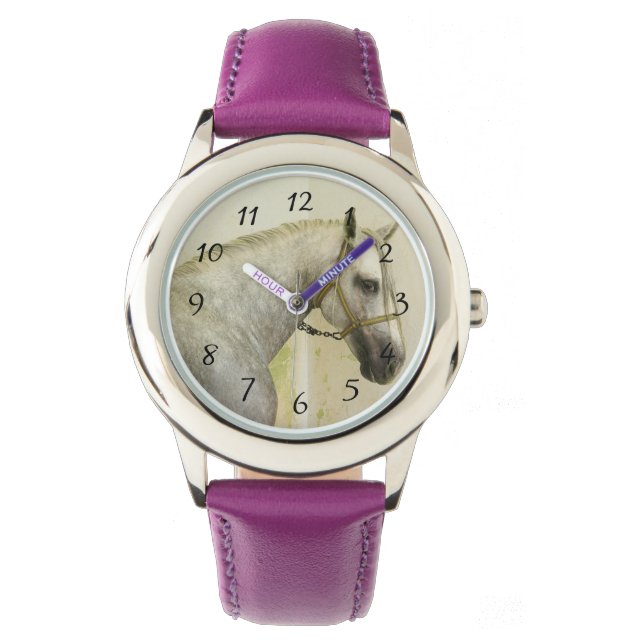 Montre Cheval andalou grise (devant)