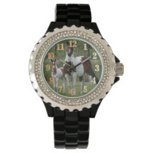 Cheval et Colt : Rhinestone femme Enamel noir W