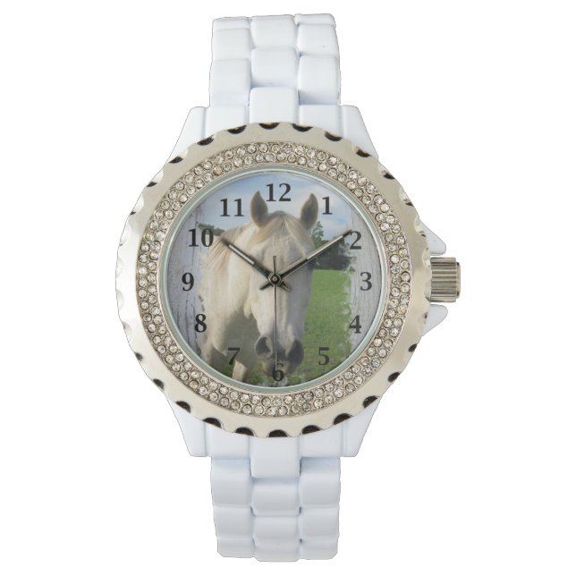 Montre Cheval gris-quarts sur planche blanchie (devant)