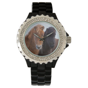 Montre Cheval islandais en hiver en Islande