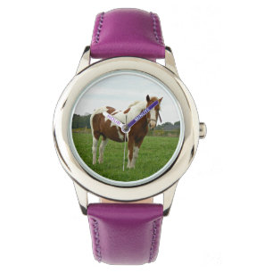Montre Cheval peint Aquebogue