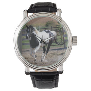Montre Cheval Pinto Paint