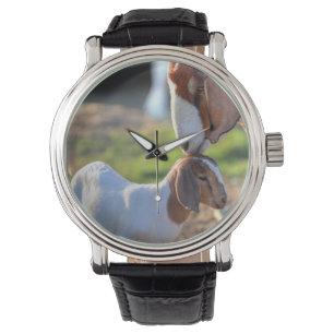 Montre Chèvre et bébé de mère