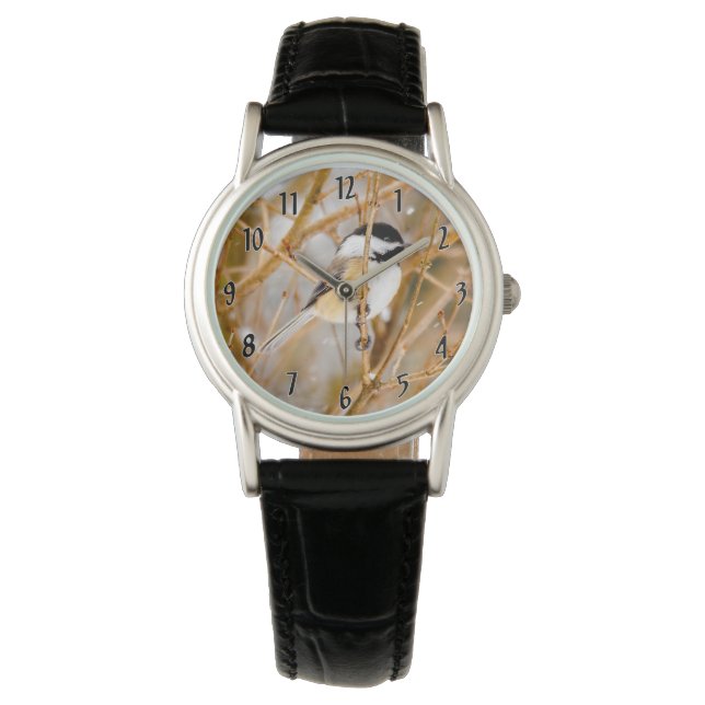 Montre Chickadee au plafond noir - Photo originale (devant)