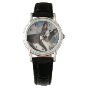 Montre chien 150 Boston Terrier