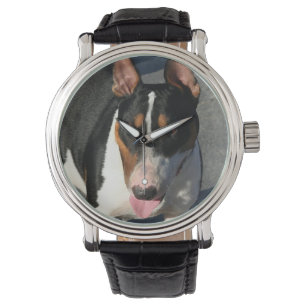 Montre Chien anglais de bull-terrier