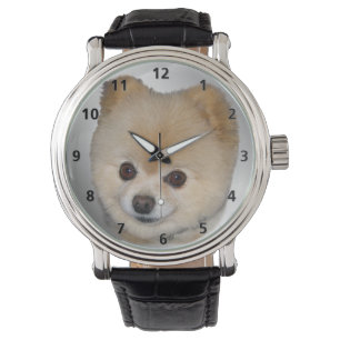 Montre Chien de Pomeranian