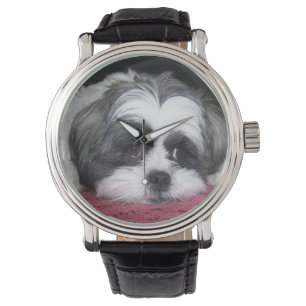 Montre Chien de Shih Tzu